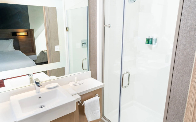 SpringHill Suites by Marriott Newark Fremont