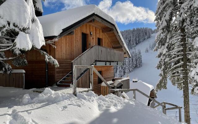 Golte - A2 Apartment - ski in/Out