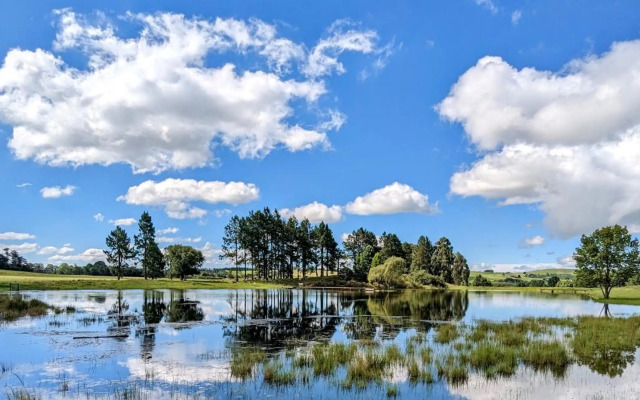 The FarSide Country Manor