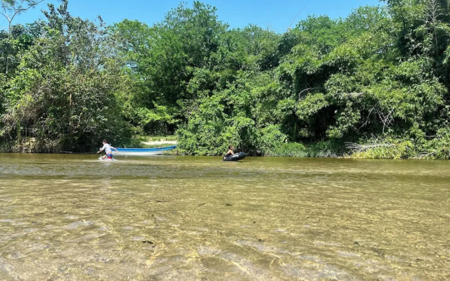Tree of Life - Hostel