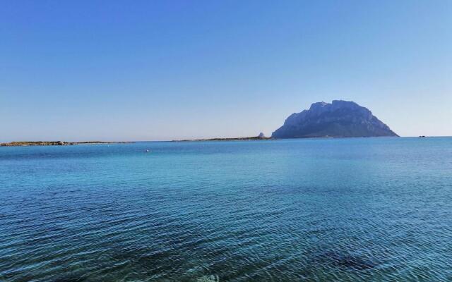 Aria di Vacanza- Molara