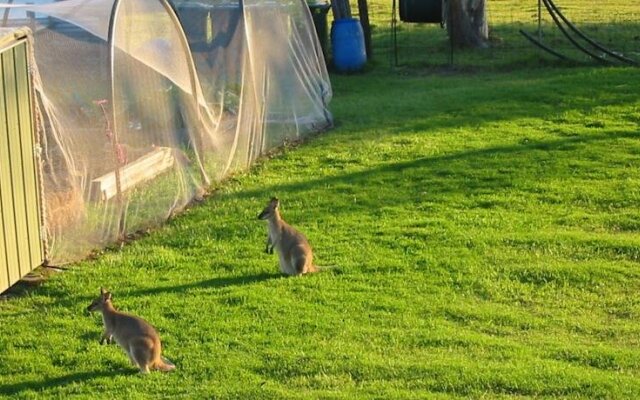 Rural Executive Holiday House @ Lavender Grove Farm