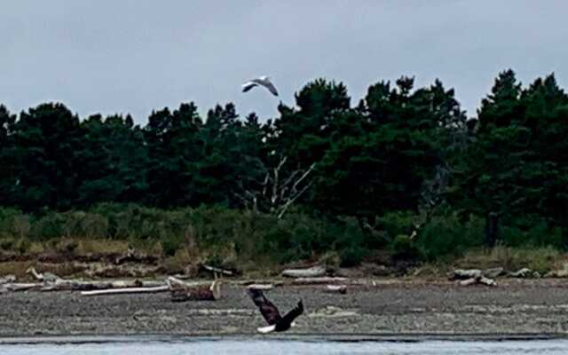 Tillamook Bay City RV Park