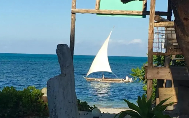 Driftwood Beach Lodge
