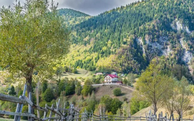 Mosorel