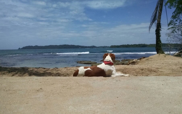 Surf Break at Paunch