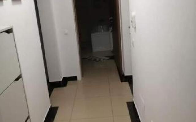 Cosmin Apartament Sondelor 4