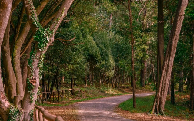 Figueira Centro Apartment by Rent4all