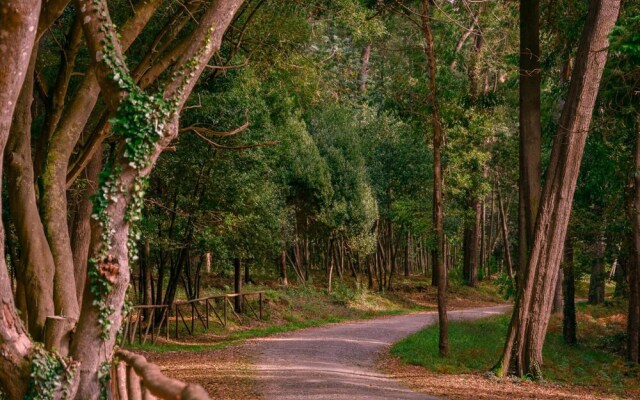 Apartamento Casino Praia II Center Wi-fi Cable TV