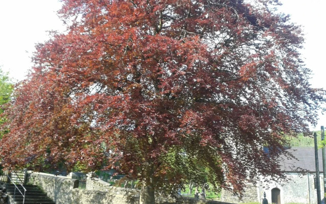 Sannan Court Holiday Apartments