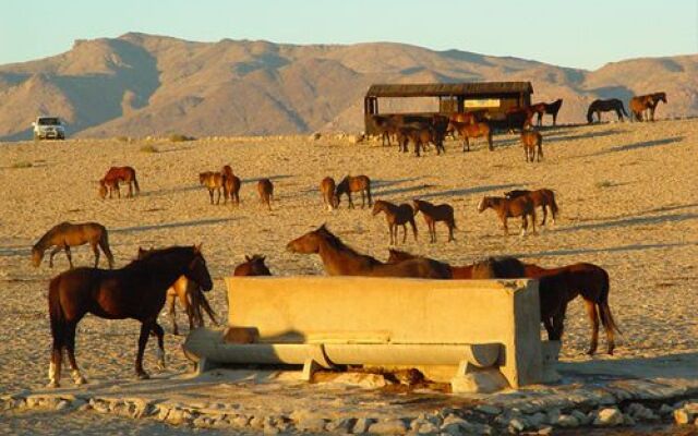 Klein-Aus Vista Desert Horse Inn