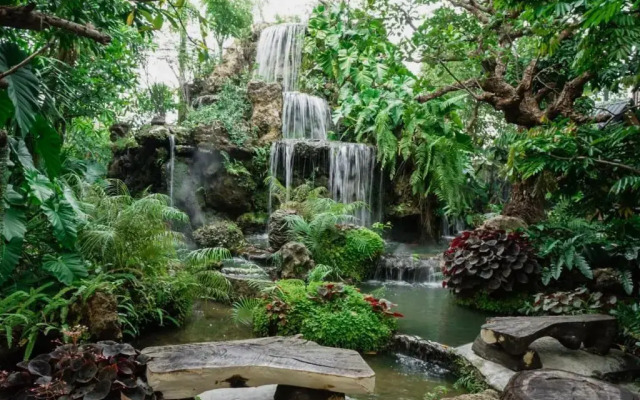 Natural Place