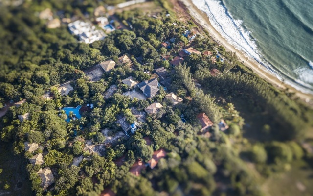 Sombra e Agua Fresca Floresta