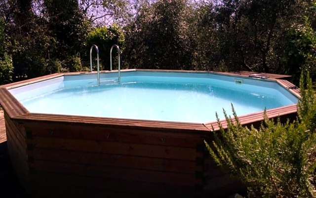 Trecentolivi B&b
