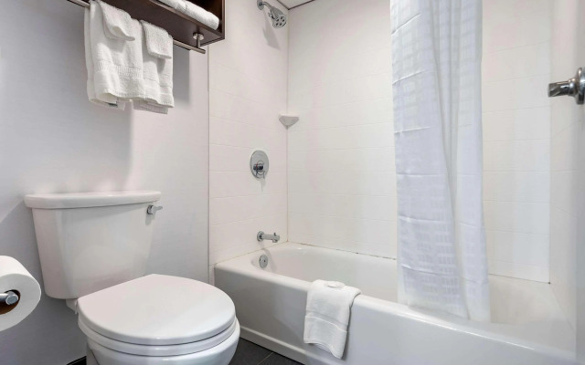 Comfort Inn & Suites Liverpool - Syracuse North