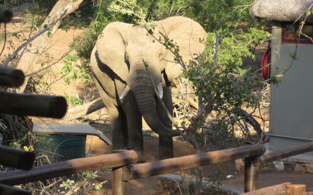 Baluleni Safari Lodge