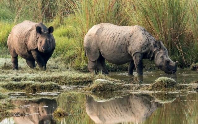 Safari Wildlife Lodge & Camp