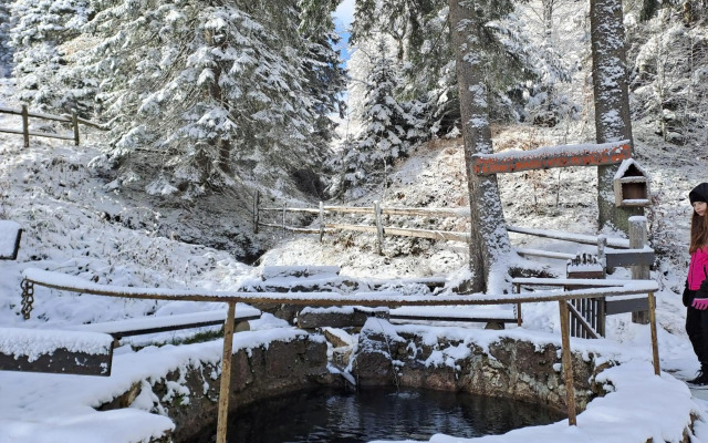 Apartmani Nela 1 Jahorina