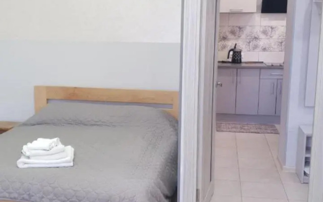 Apartment in Truskavets