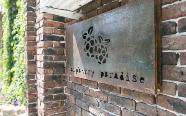 Raspberry Paradise
