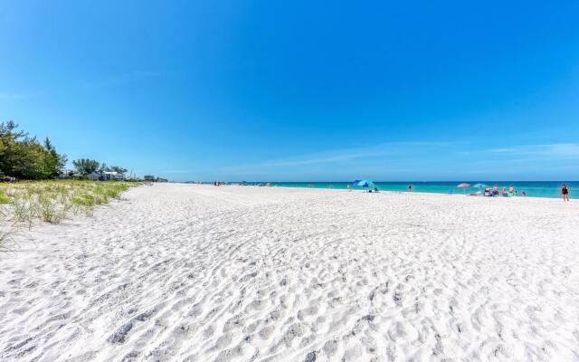 Anna Maria Island Beach Palms 2A