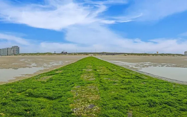 Studio in Belgium Near Seafront & Tram Stop