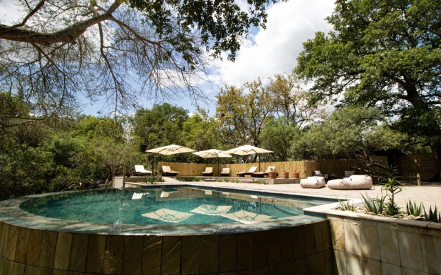Little Africa Safari Lodge