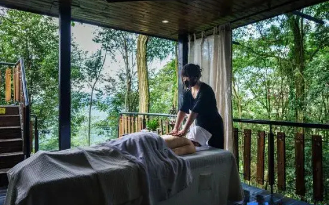 Misty Forest Retreat