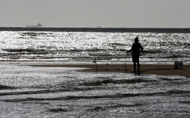 Tropical Oasis near Beach