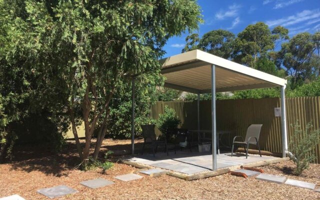 The Grape and Olive at Willunga