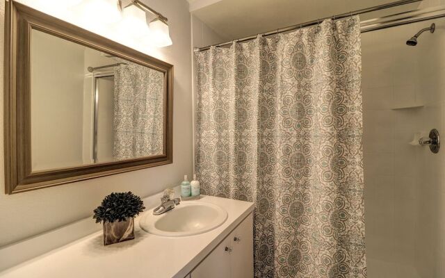 Beach Palms 504
