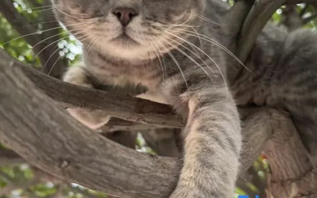 Renjoy Hotel Beijing Yonghe Temple Guijie Siheyuan