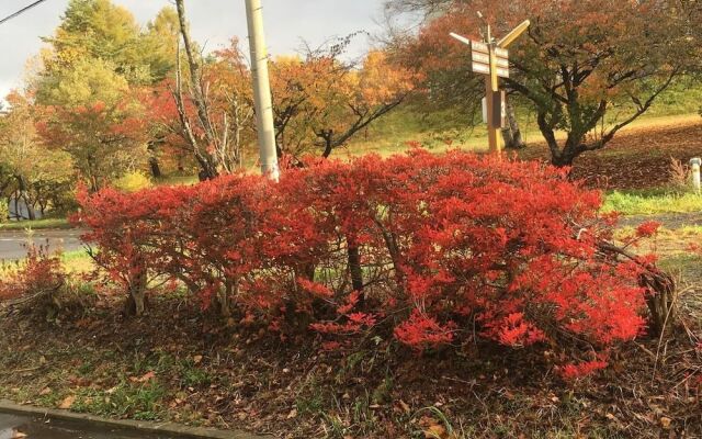 Onsen Guest House Yasumori