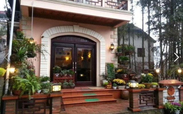 Thai Binh Sapa Hotel