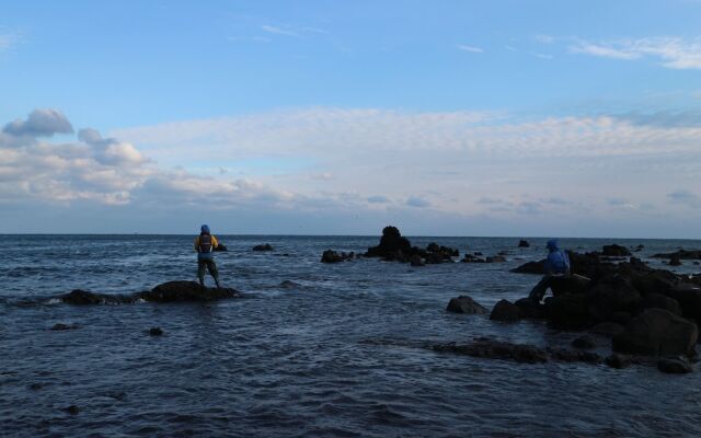 Blue Island Guesthouse - Hostel