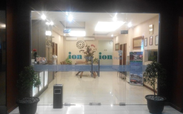 Ion Hotel