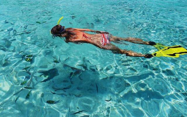 La Belle Tortue