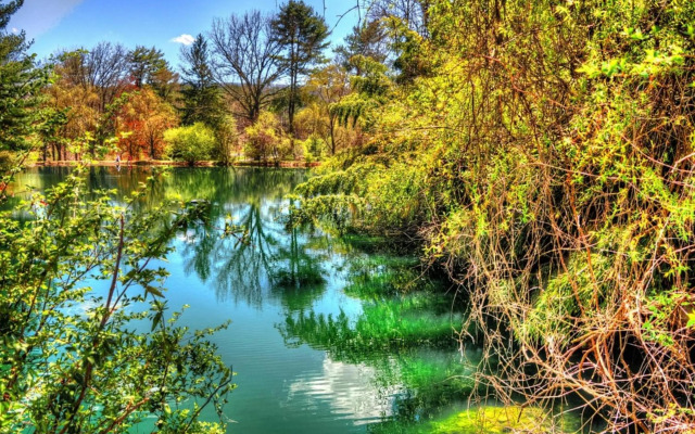 Econo Lodge near the Blue Ridge Parkway I-77