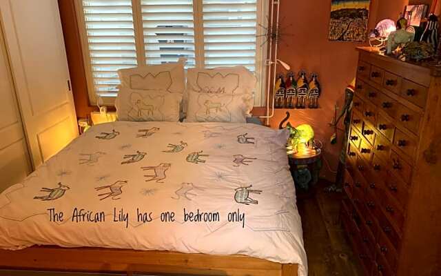 Bed & Beads The African Lily