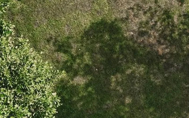 Sapanca Bamboolow Resort