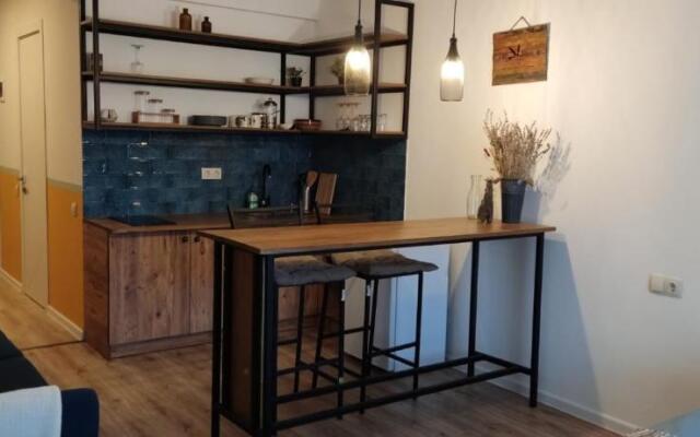 Evdo Apartments F1 Modern Studio