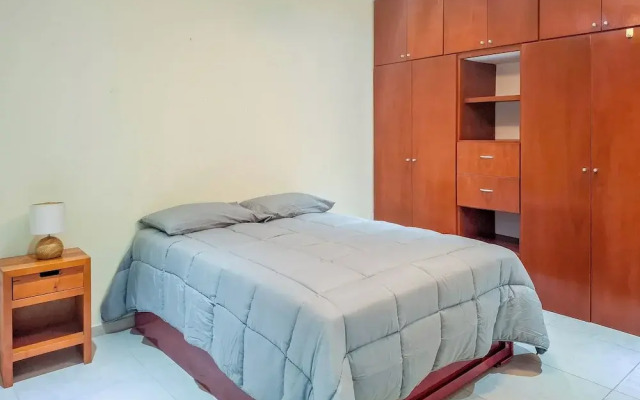 Apt with Pool & jungle in Puerto Morelos