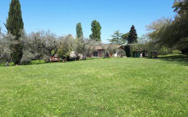 Madonnella Agricola