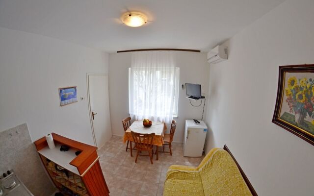Apartment and Rooms Ruža