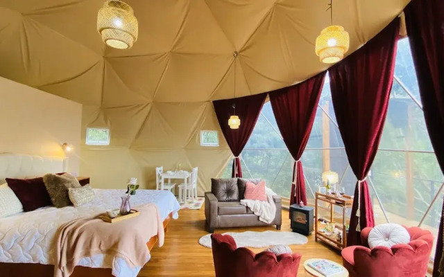 FéLIZA Rainforest Domes