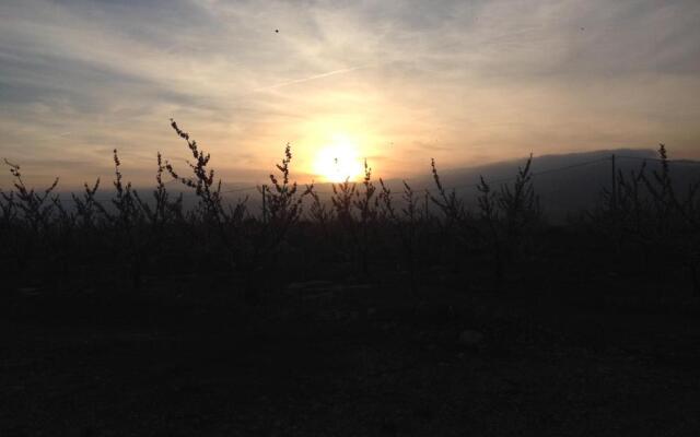 Finca Florecer