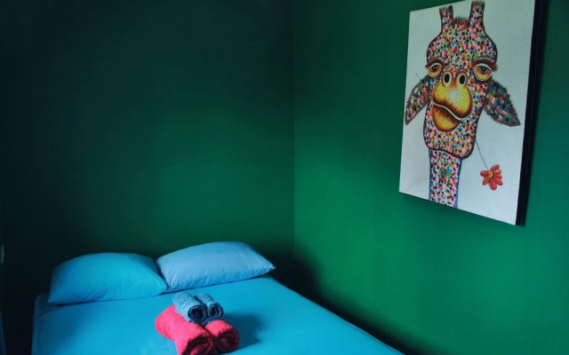 Twin Fin Hostels