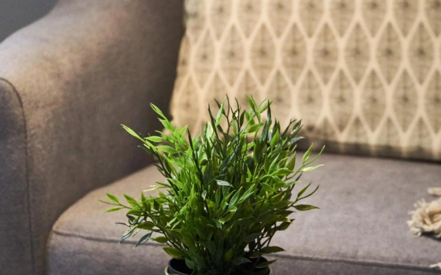 San Jacinto Triana Deluxe by Valcambre