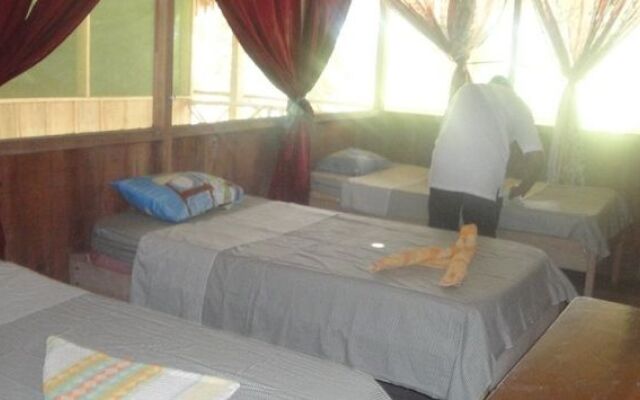Amazon King Lodge
