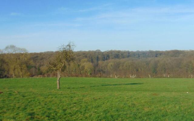 Gite Avesnois - 4910 -